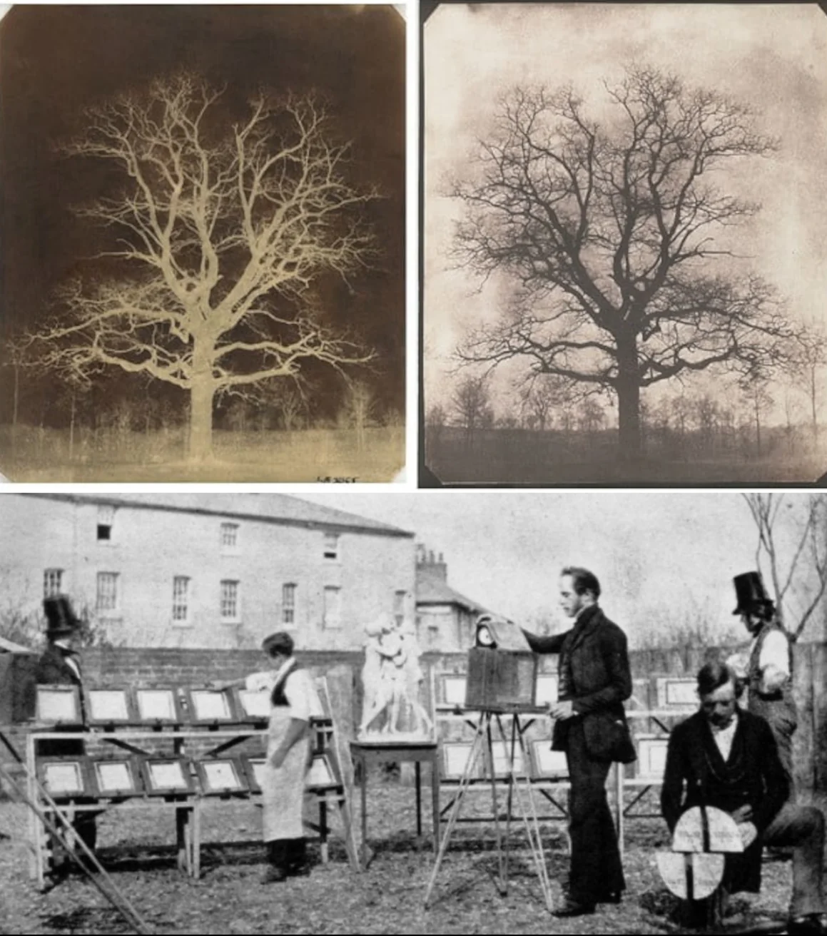 Image showing men making photographs using the old calotype process. Above there is another image of a calotype example of a negative image of a tree and a positive image of the tree next to it.