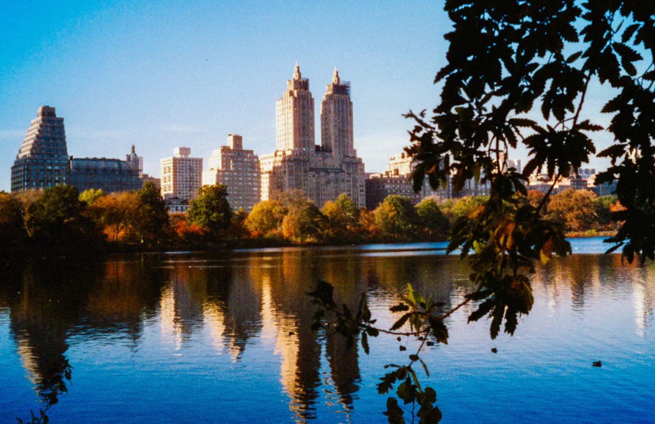 Photograph of central park. The photo overlooks the lake and the iconic buildings surrounding the park.