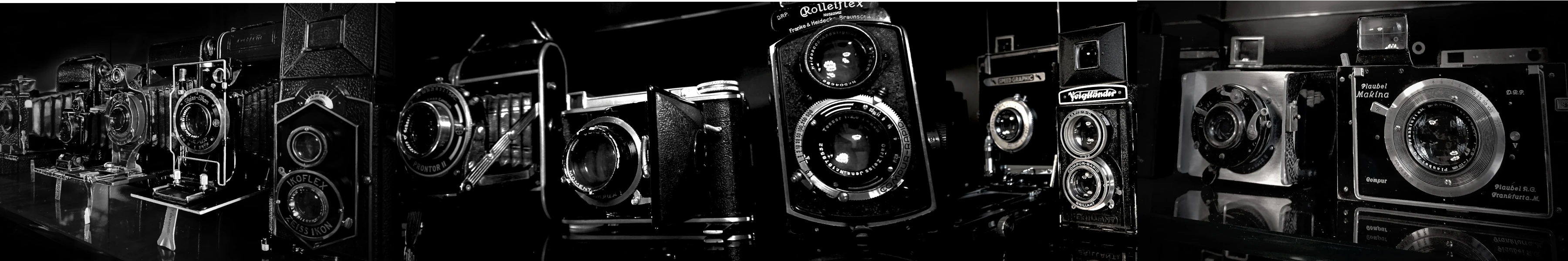 Vintage cameras on a shelf in a museum